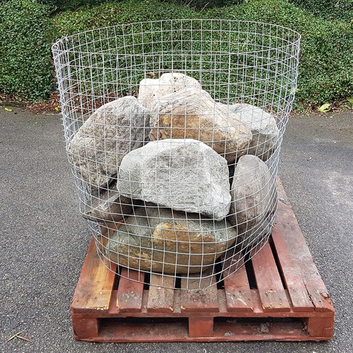 300 600mm large cambrian - 300-600mm,