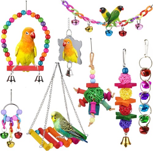 Pcs parakeet cockatiel bird - parakeet,