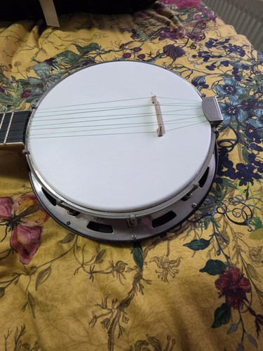Ukulele banjo believed to - banjo,