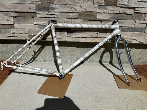 Vintage schwinn cimmaron - vintage,