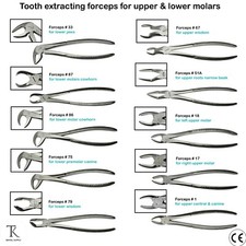 Tooth extracting forceps for - tooth,