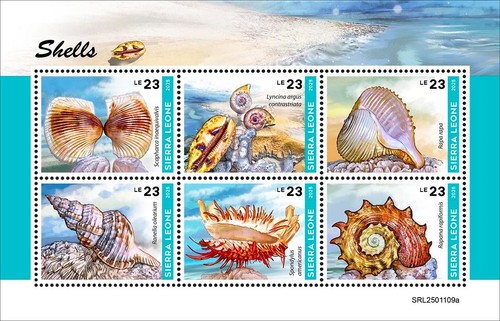 Shells mnh stamps 2025 sierra - stamps,