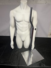 Male torso mannequin with arms (no head)