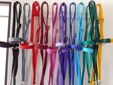 Training halter. Miniature horse. shetland. small pony