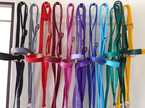 Training halter miniature - halter.,