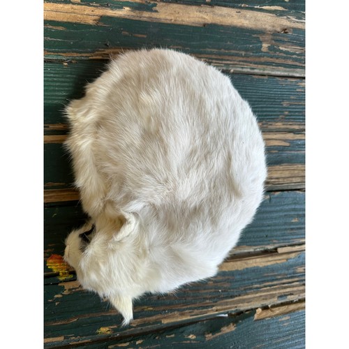 Vintage white rabbit fur pelt - white,