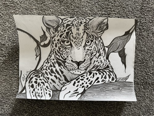 Black white pencil - a4, &