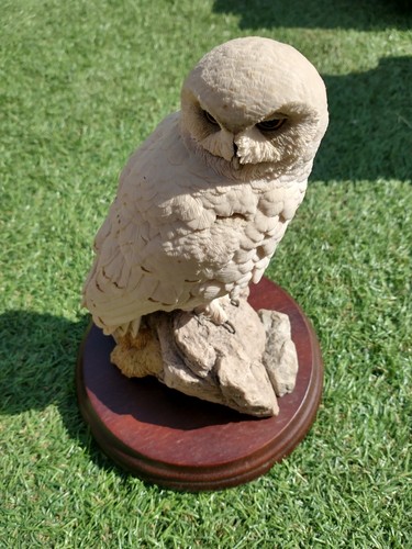 Snowy owl mounted - snowy,