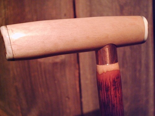 Walking stick deer - stick, antler