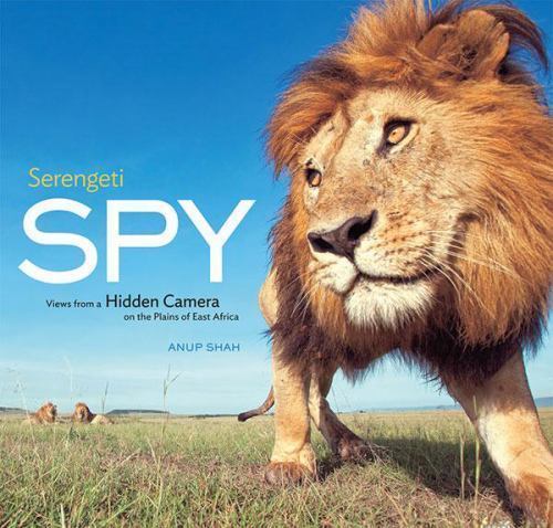 Serengeti spy views - views, from