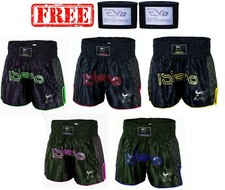 Evo muay thai - fight, mma