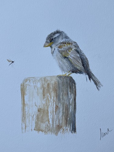 Watercolour painting original - watercolour,