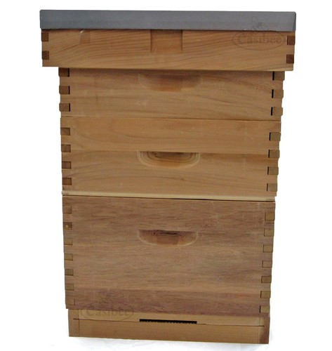 2nds langstroth beehive bee - beehive,