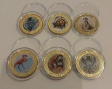 Rare 2019 Jersey Zoo BU