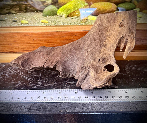 Aquarium driftwood 21cm - driftwood,