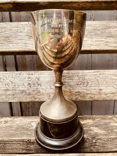 Silver trophy - 🏆,