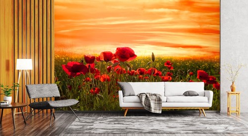 Red poppy garden b8530 - 3d,