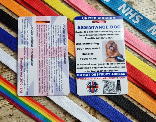 Assistance dog service - assistance,