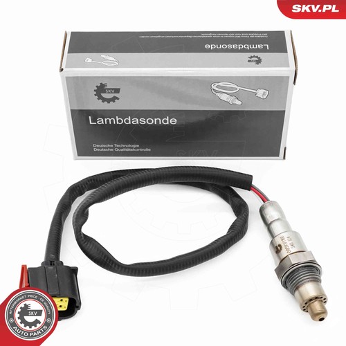 For skv germany 09skv186 - germany,