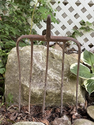 Old tine curved prong - 5,