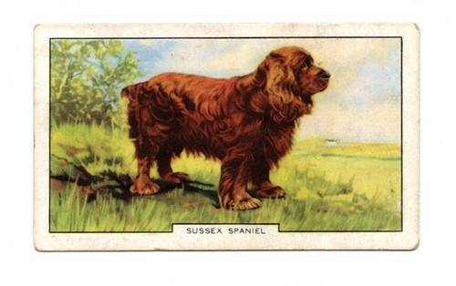 Gallaher cigarette card - gallaher,