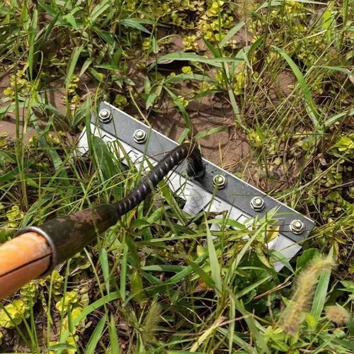Carbon steel garden hand - carbon,