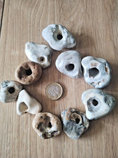 10 Natural Hagstones Hag
