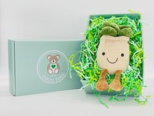 Kawaii Succulent Flower Pot