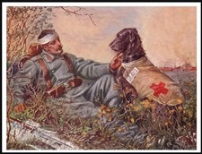 IRISH WOLFHOUND AND SOLDIER