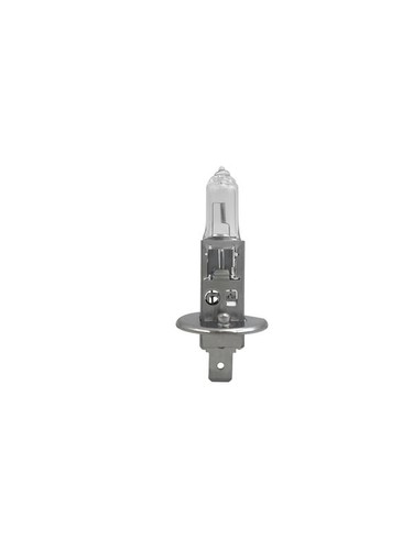 Spotlight bulb fits alfa romeo - bulb,