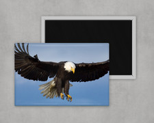 Bald Eagle - Large Novelty