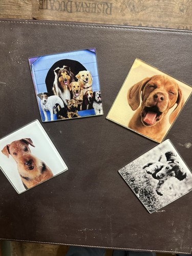 Square glass dog - dog, photo