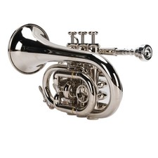 Mini Bb Trumpet Set N Plated Brass Pocket Trumpet Set For Beginner Performance