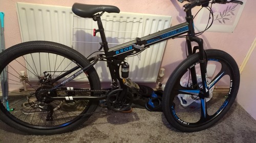 Mountain bike - mountain,