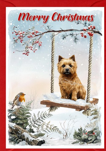 Norwich terrier dog 4 x - norwich, (4"x