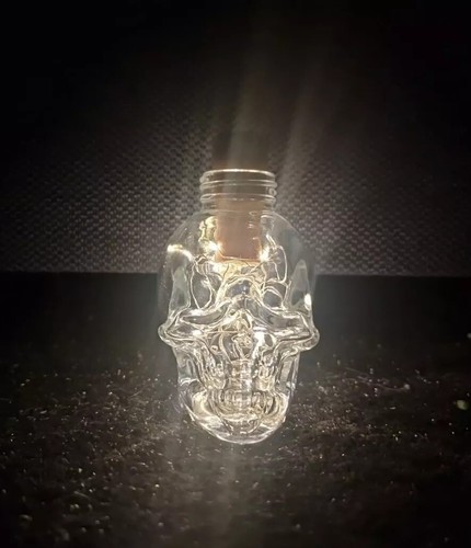 Crystal skull head empty - crystal,