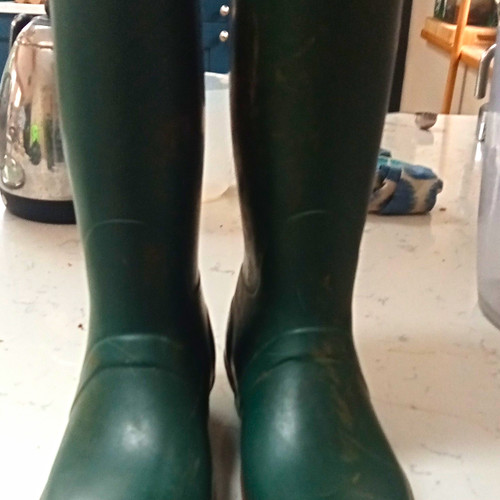 Warm welly company neoprene - welly,
