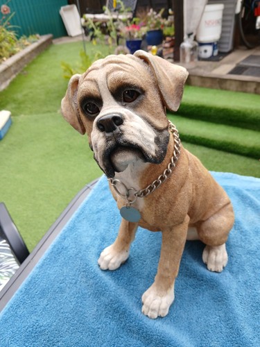 Boxer dog figurine - figurine., country