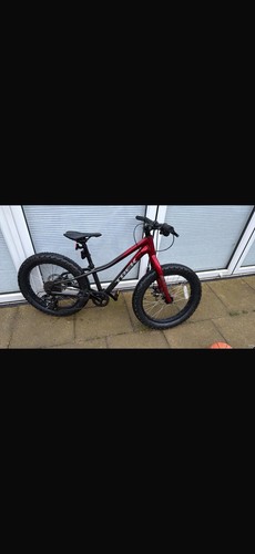 Trek rosco fat tire kids - trek, 20”