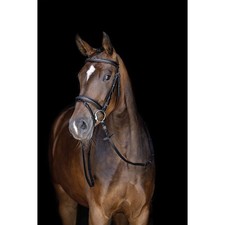 HKM Bridle-Jana-Black-Shetland