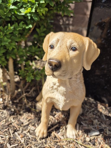 Golden labrador ornament - labrador,