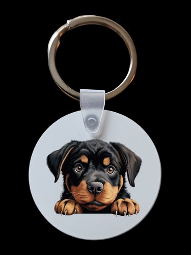 Peeking peeping rottweiler - rottweiler, dog