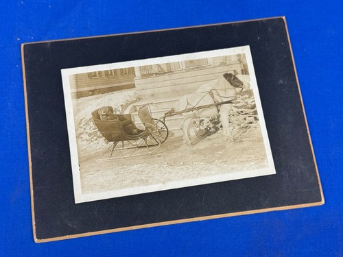 1900 photo card pony w - pony, w/
