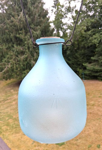 Vtg fly wasp trap t - trap, aqua