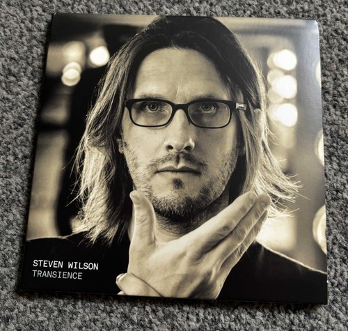 Steven wilson transience - steven,