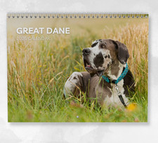 Great Dane Calendar 2026