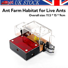 Ant Nest Ant House Ant Farm Habitat for Live Ants & Queen Adults Study of Ant UK