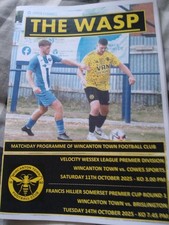 Wincanton Town v Cowes