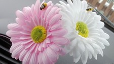 Double gerbera daisy car - double,