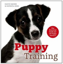 Puppy Training: The Essential